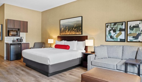 Room, 1 King Bed with Sofa bed, Accessible, Refrigerator & Microwave
