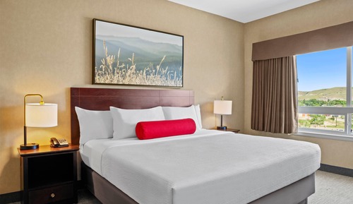 Suite, 1 King Bed with Sofa bed, Refrigerator & Microwave (Separate room)