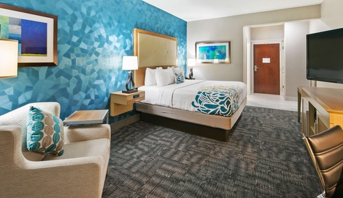 Standard Room, 1 King Bed, Non Smoking, Refrigerator & Microwave
