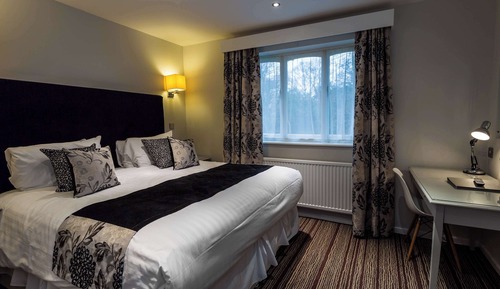 Deluxe Room, 1 King Bed, Non Smoking