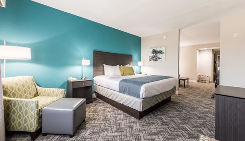 Standard Suite, 1 King Bed with Sofa bed, Non Smoking, Refrigerator & Microwave (with Sofabed)