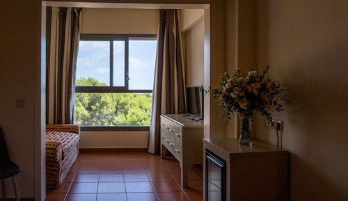 Classic Room (3 Adults)