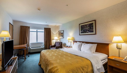 Standard Room, 1 King Bed, Non Smoking