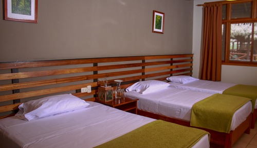 Comfort Room