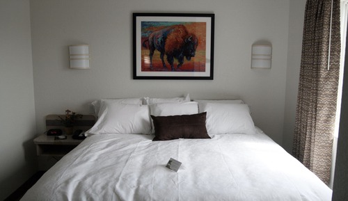 Standard Room, 1 Queen Bed, Accessible