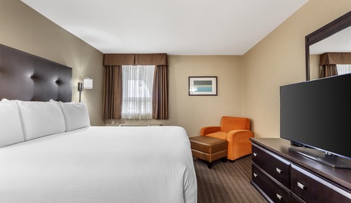 Suite, 1 King Bed, Refrigerator & Microwave, Annex Building (with Sofabed)