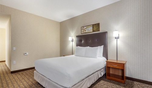 Standard Room, 1 Queen Bed, Accessible, Refrigerator & Microwave