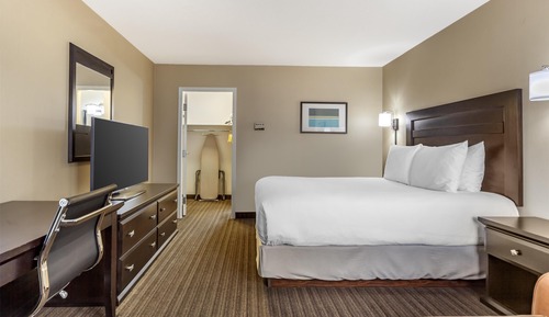 Standard Room, 1 Queen Bed, Refrigerator & Microwave, Annex Building (Pet Friendly)