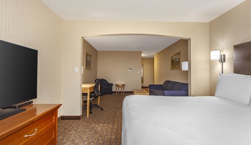 Standard Room, 1 King Bed, Non Smoking, Balcony (with Sofabed)