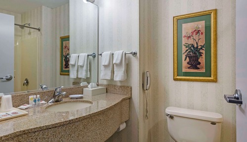 Suite, Non Smoking