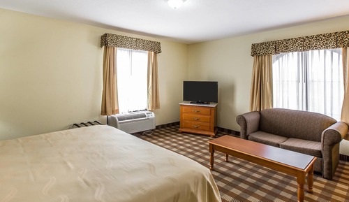 Standard Room, 1 King Bed with Sofa bed, Non Smoking
