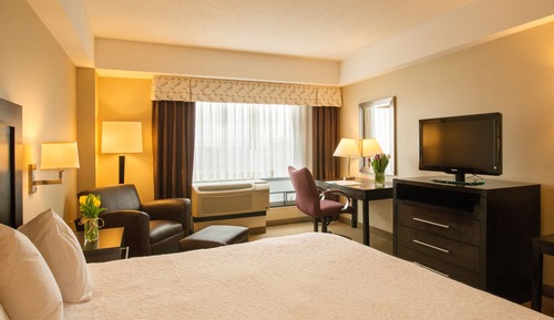 Room, 1 King Bed, Accessible (Roll-In Shower)