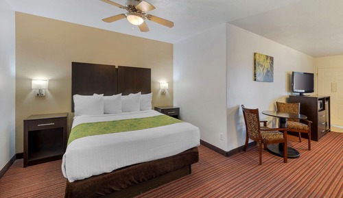 Suite, 1 King Bed, Non Smoking