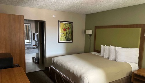 Room, 1 King Bed, Non Smoking