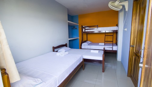Standard Shared Dormitory