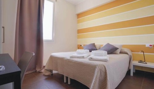 Basic Room, Ensuite, Vineyard View