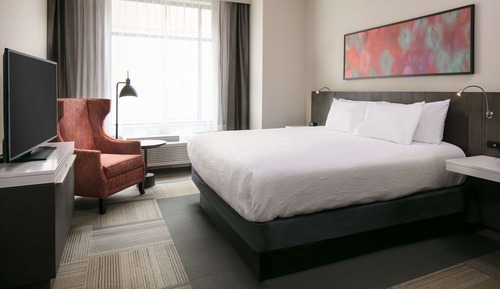 Room, 1 King Bed with Sofa bed
