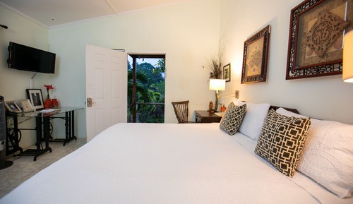 Superior Room, 1 King Bed, Refrigerator, Garden View