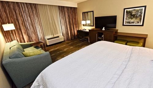 Room, 1 King Bed with Sofa bed, Refrigerator & Microwave