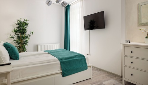 Business Apartment (Studio Silver)