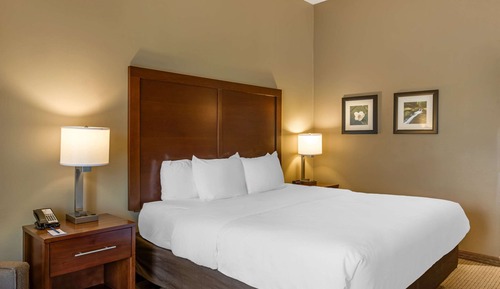 Room, 1 King Bed, Accessible, Non Smoking