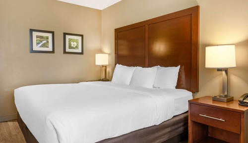 Suite, 1 King Bed, Non Smoking