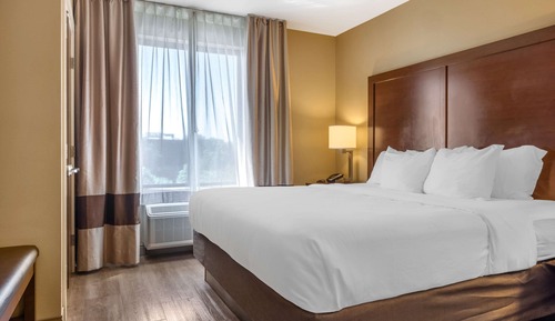 Standard Room, 1 King Bed, Non Smoking