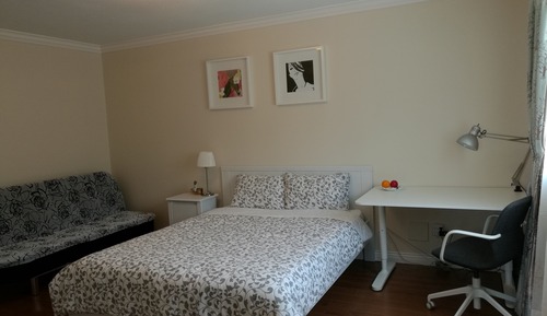 Comfort Suite, 1 Queen Bed with Sofa bed