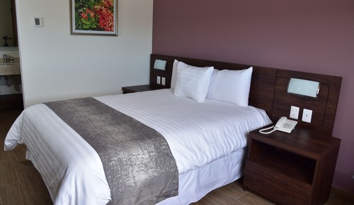 Standard Room, 1 Queen Bed