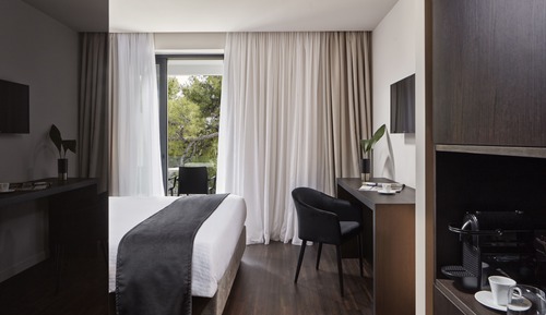 Superior Cozy Double Room