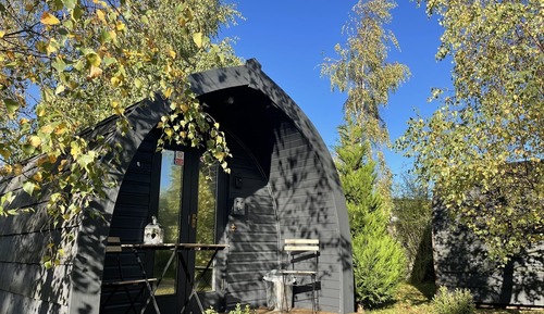 Room, Shared Bathroom (Dog Pod)
