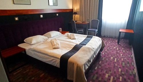 Business Double Room, 1 Double Bed