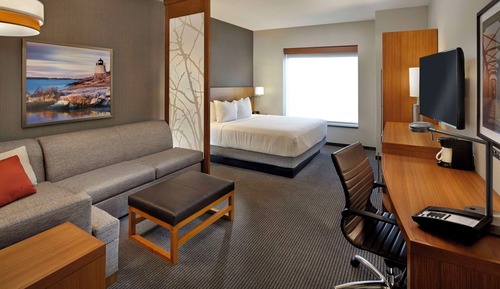 Room, 1 King Bed with Sofa bed, Accessible, Bathtub