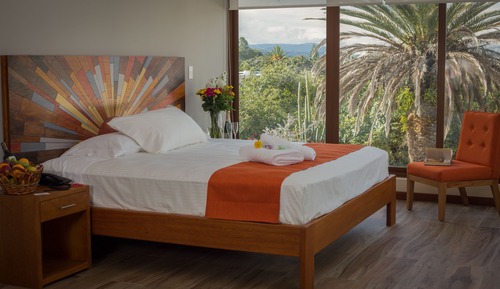 Deluxe Suite, 1 King Bed, Jetted Tub