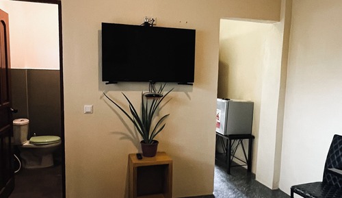 Basic Apartment