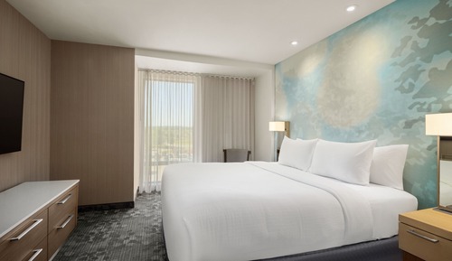 Room, 1 King Bed with Sofa bed