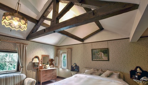 Deluxe Double or Twin Room (with River View)