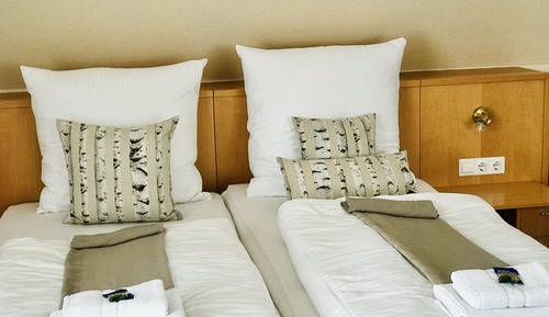 Superior Double or Twin Room, 1 Queen Bed, Non Smoking, Garden View