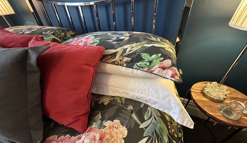 Room, 1 King Bed