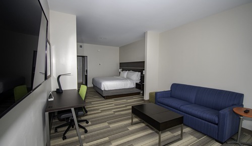 Suite, 1 King Bed with Sofa bed