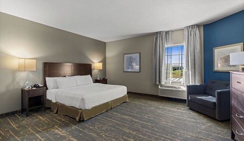 Basic Studio Suite, 1 King Bed, Kitchenette