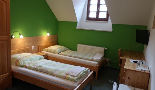 Basic Twin Room