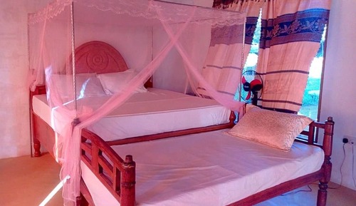 Family Room, Multiple Beds