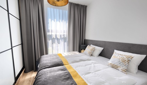 Superior Studio Suite (Latte 23)
