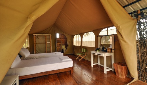 Luxury Tent