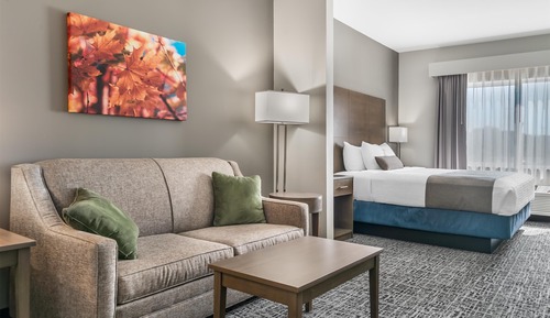 Suite, 1 King Bed, Non Smoking, Refrigerator & Microwave (with Sofabed)
