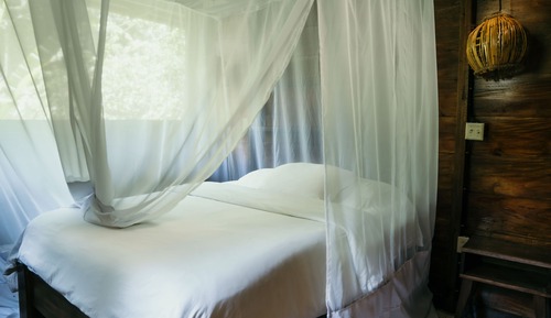 Cacao Farm Suite