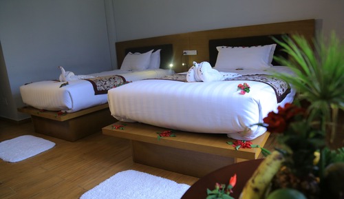 Standard Twin Room