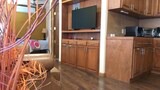 Suite #3