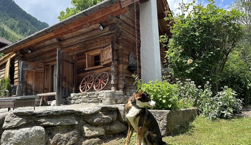 Cottage, Private Bathroom, Garden View (Romantikhütte)